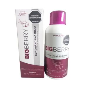 BIGBERRY LIQUIDO ARANDANO FRASCO 500 ML