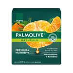 Cuidado-Personal-Jabones_Palmolive_Pasteur_1373009_tripack_01