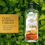Cuidado-Personal-Shampoo_Herbal-essenses_Pasteur_124463_frasco_03
