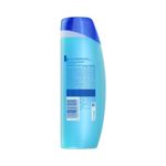 Cuidado-Personal-Shampoo_Head-&-shoulders_Pasteur_124477_frasco_02