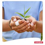 Salud-y-Medicamentos-Curas-y-microporos_Leukoplast_Pasteur_616067_caja_04