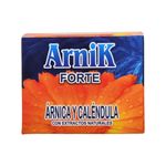Salud-y-Medicamentos-Medicamentos-naturales_Arnik_Pasteur_1206012_caja_01