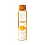 Cuidado-Personal-Shampoo_Anyeluz_Pasteur_1328026_frasco_01