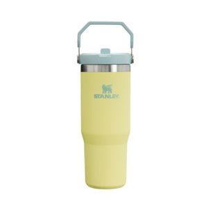 TERMO STANLEY CLASSIC FLIP STRAW   TUMBLER 887 ML POMELO X 1 UND