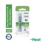 Dermocosmetica-Cuidado-de-labios_Heel_Pasteur_1445001_tubo_01