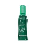 Cuidado-Personal-Lacas-y-Geles_Natural-styling_Pasteur_1270004_frasco_01