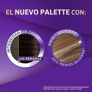 TINTURA PALETTE 8-0 RUBIO CLARO CAJA 50 ML