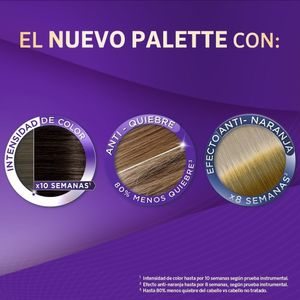 TINTURA PALETTE 10-1 RUBIO PLATA CENIZO CAJA 50 ML