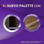 Cuidado-Personal-Tintes-y-decolorantes-para-cabell_Palette_Pasteur_299755_caja_02