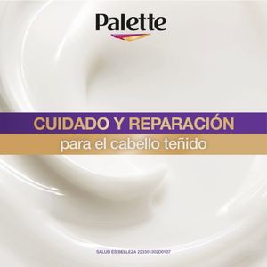 TRATAMIENTO PALETTE POST COLORACIÓN TUBO 200 ML