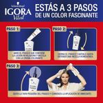 Cuidado-Personal-Tintes-y-decolorantes-para-cabell_Igora_Pasteur_299882_frasco_02