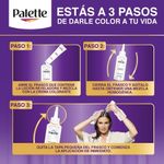 Cuidado-Personal-Tintes-y-decolorantes-para-cabell_Palette_Pasteur_299990_frasco_02