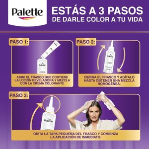 OXIGENTA PALETTE 20 VOLUMEN FRASCO 50 ML