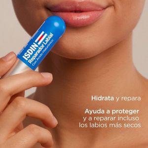 ISDIN REPARADOR LABIAL STICK BARRA 4 G
