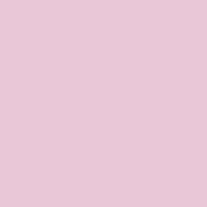 ESMALTE ADMISS COLOMBIANO FRASCO 10 ML
