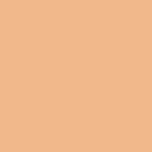 HIDRATANTE BEIGE N 3 ANA MARIA BASE TUBO 50 G