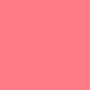 LABIAL LIQUIDO LD FLAMINGO ANA MARIA TUBO 4.5 G