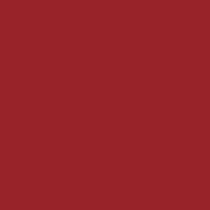 LABIAL LD ANA MARIA PERFECT CARE CEREZA BARRA X 1 UND
