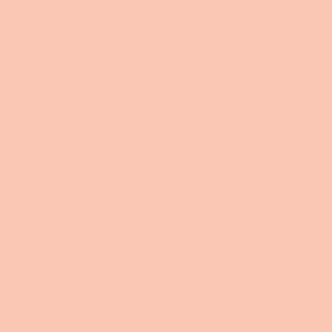 POLVO COMPACTO ANA MARIA NATURAL #6 SPF 20 CAJA 15 G