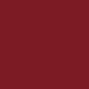LABIAL HUMECTANTE SAMY #001 4 G