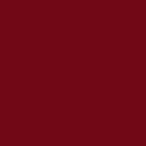 LABIAL HUMECTANTE SAMY #042 4 G