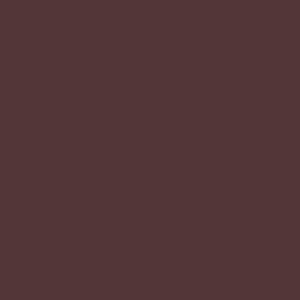 LAPIZ DE OJOS MAX FACTOR KOHL PENCIL BROWN TUBO X 1 UND