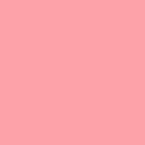 RUBOR RV COLORSTAY RAVISHING ROSE CAJA 5 G