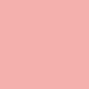 LIP GLOSS ANYELUZ ROSA TUBO X 1 UND