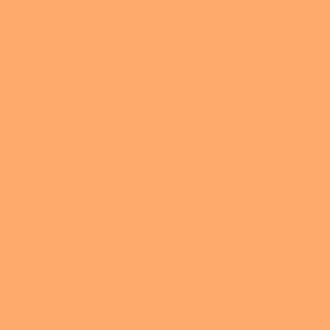 LIP GLOSS ANYELUZ NARANJA TUBO X 1 UND