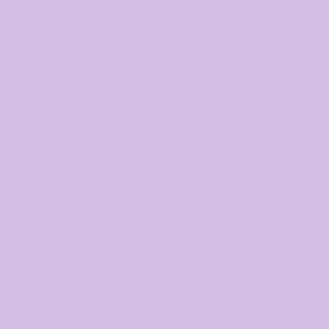 LIP GLOSS ANYELUZ MORADO TUBO X 1 UND