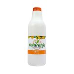 Cuerpo-Sano-Bebidas-Funcionales_Naturanja_Pasteur_1006002_frasco_01