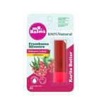 Cuidado-Personal-Labiales_Mr-balms_Pasteur_1492003_barra_01
