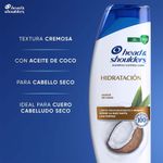 Cuidado-Personal-Shampoo_Head---shoulders_Pasteur_124183_frasco_05