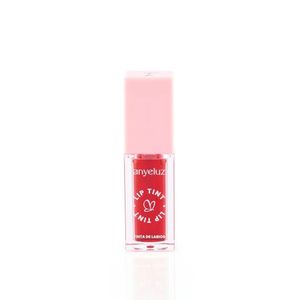 TINTA LABIOS ANYELUZ LIP TINT TONO 01 BARRA X 1 UND