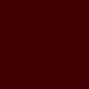 RUBOR EN BARRA ANYELUZ JELLY TINT TONO 04 X 1 UND