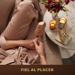 Hogar-Snacks_Magnum_Pasteur_1332004_bolsa_04
