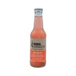 Cuerpo-Sano-Bebidas-Funcionales_Koral-Kombucha_Pasteur_1518003_frasco-de-vidrio_01