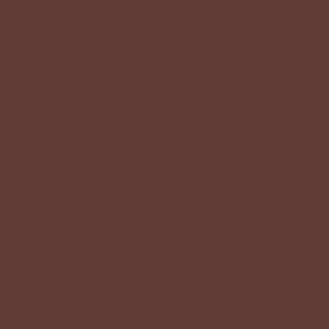 LAPIZ DELINEADOR ANYELUZ LIP LINER TONO 06 X 1 UND