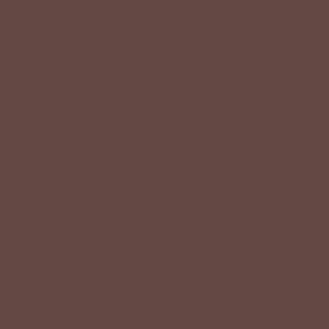 LIP MAYBELLINE LIFTER LINER CROSS THE LINE 1.2 G