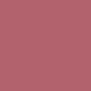 LIP MAYBELLINE LIFTER LINER FINE LINE 1.2 G