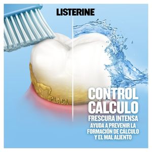 ENJUAGUE BUCAL LISTERINE CONTROL CALCULO FRASCO 500 ML