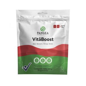 VITA BOOST PANGEA POLVO DOYPACK X 20 SOBRES