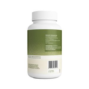 SAVVY GÜDGUT SUPLEMENTO DIETARIO 300 MG POTE X 90 UNDS